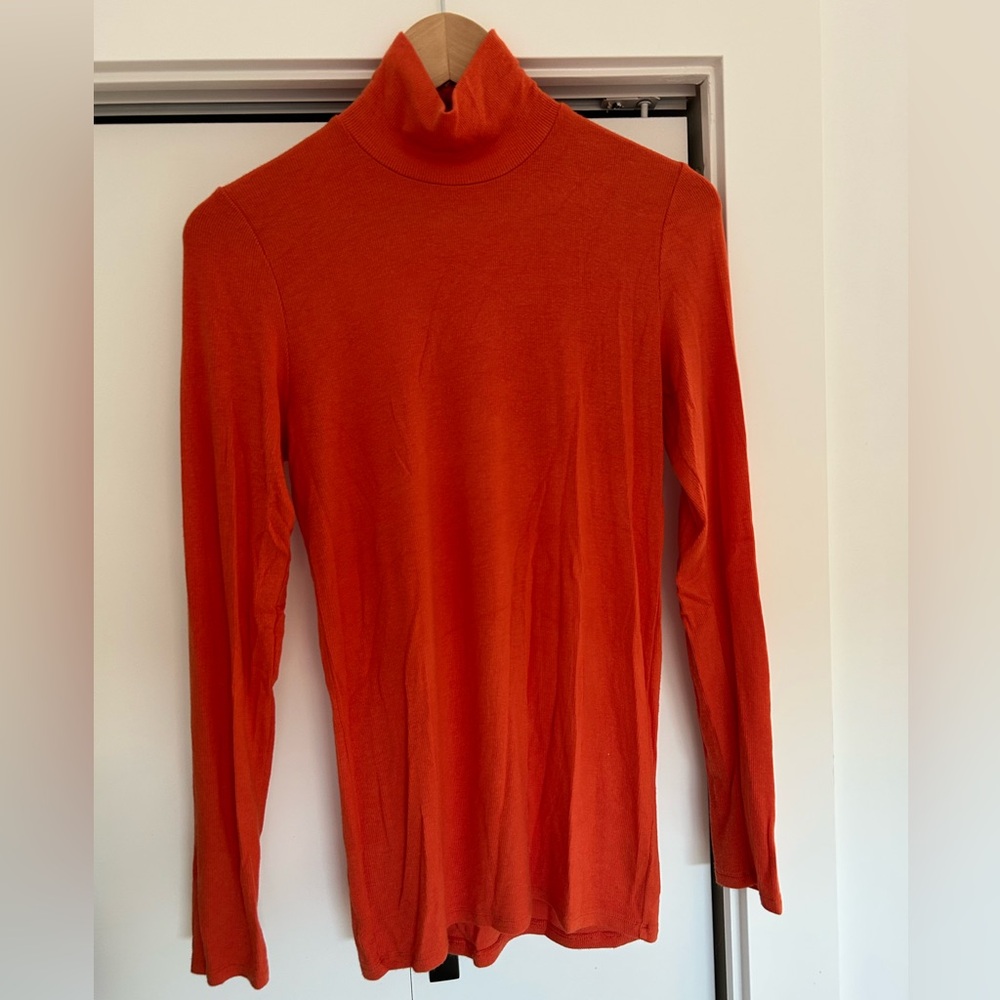 Aritzia Wilfred Only Turtleneck.